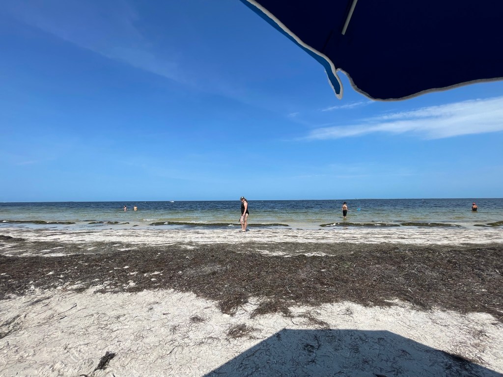 Family-Friendly Fun in Tarpon Springs: Activities for All&nbsp;Ages